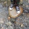 Profile Picture of Matthew Fitzsimmons (@rscab5755) on Pinterest