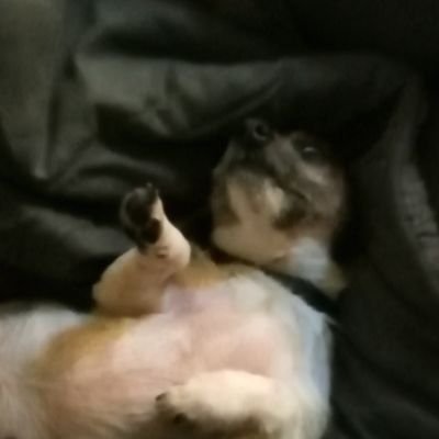 Profile Picture of Adam Bratek (@bratek_adam) on Twitter