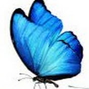 Profile Picture of Enos Ruelas (@EnosRuelas) on Youtube
