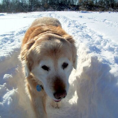 Profile Picture of Dave Eberhard (@Ebblesauce) on Twitter