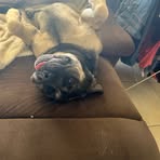 Profile Picture of Robert Casey (@Robert-Casey) on Facebook