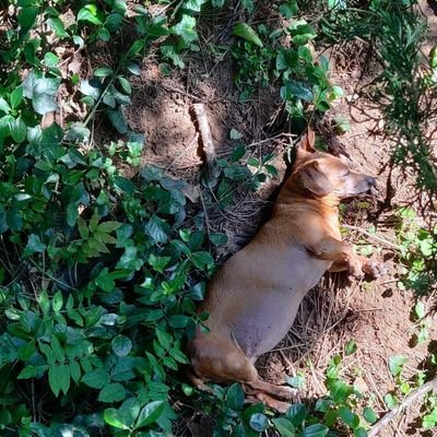 Profile Picture of Michael Magaha (@MagahaMichael) on Twitter