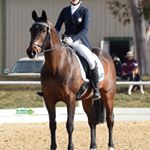 Profile Picture of Renee Herboldt (@reneeherboldt.dressage) on Instagram