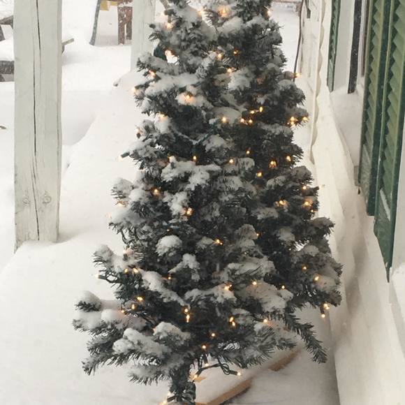 Profile Picture of Debra Bradley (@debra_l_bradley) on Poshmark