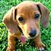 Profile Picture of Buddy Boswell (@buddy.boswell.5) on Facebook