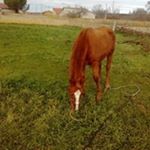 Profile Picture of Rodrigo Lazaro Sanz (@rodrigolazarosanz) on Instagram