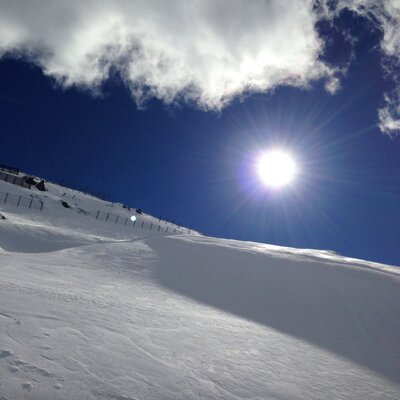 Profile Picture of Patrick De La Cosa (@meixner_meixner) on Twitter