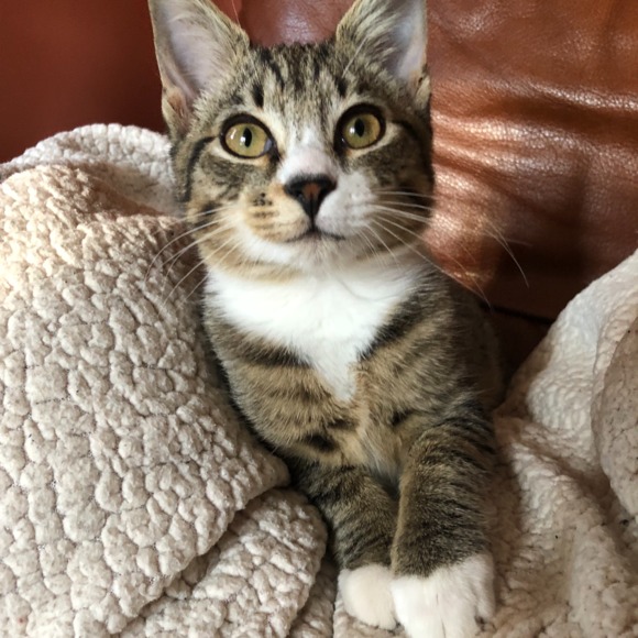 Brittany Michaud - Poshmark Profile Picture of Brittany Michaud (@brittanymichaud) on Poshmark