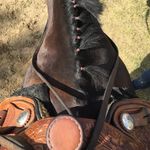 Profile Picture of Christine Haney (@christineequine) on Instagram