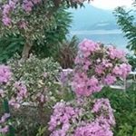 Profile Picture of Chunyang Zhang (@chunyang.zhang.5209) on Instagram