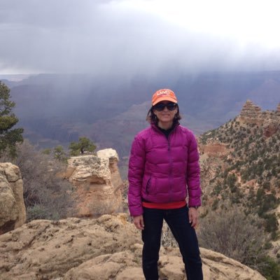 Anne Chapman - Twitter Profile Picture of Anne Chapman (@annekchapman) on Twitter