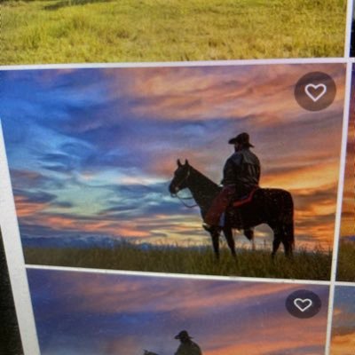 Profile Picture of Robert Speelman (@SpeelmanRobert) on Twitter