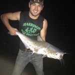 Profile Picture of Michael Korte (@korte.michael) on Instagram