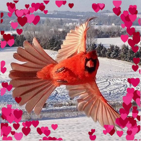 Jacqueline Kulback - Poshmark Profile Picture of Jacqueline Kulback (@jkulback) on Poshmark