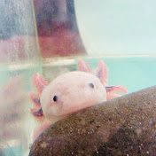 Bomin Kim - Youtube Profile Picture of Bomin Kim (@bominkim9672) on Youtube