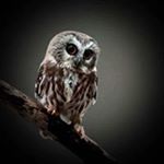 Profile Picture of Guillermo Posada (@posadag1980) on Instagram