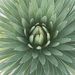Profile Picture of myra jimenez (@jimenez46m) on Pinterest