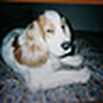 Profile Picture of Maricella Isabel Ceballos Piedra (@maricella2) on Flickr