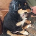 Profile Picture of Greg Ritz (@shalldraftow) on Instagram