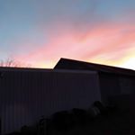 Profile Picture of Tracy Schwertner (@tracyschwertner1.0) on Instagram