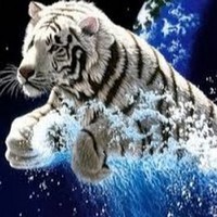 Profile Picture of Benjamin Shavitz (@benjamin-shavitz-1) on Quora