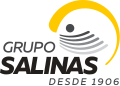 Profile Picture of Grupo Salinas - Wikipediaon Wikipedia