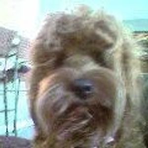 Profile Picture of Haley Bailey Clapper (@haleymyowner) on Myspace
