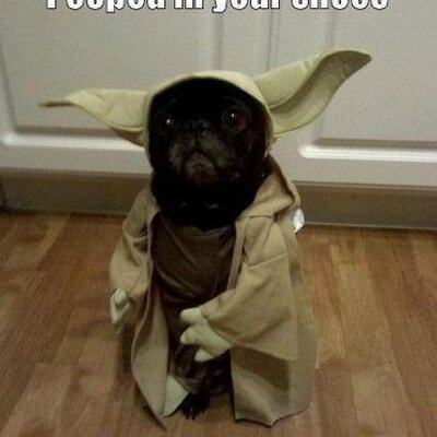 Profile Picture of Stuart Smith (@MaddLarkin) on Twitter