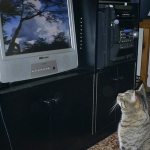 Henry Grady - Myspace Profile Picture of Henry Grady (@grade_e) on Myspace