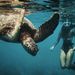 Profile Picture of Amelia Harnish (@AmeliaHarnish) on Pinterest