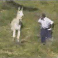 Profile Picture of David Wandel (@david-wandel-4) on Quora