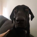 Profile Picture of Kobe Robertson (@koberobertson1) on Instagram