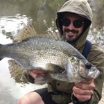 Profile Picture of Paul Teesdale (@pteesdale) on Instagram
