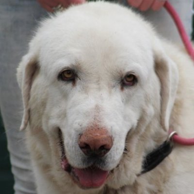 Profile Picture of Esther Ten Wolthuis (@Eire353) on Twitter