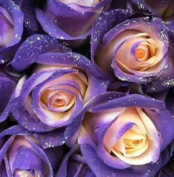 Profile Picture of Donna Waldron (@donnawaldron420) on Poshmark