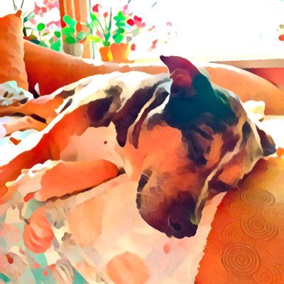 Profile Picture of Kevin Siddons (@KevinSiddons1) on Twitter