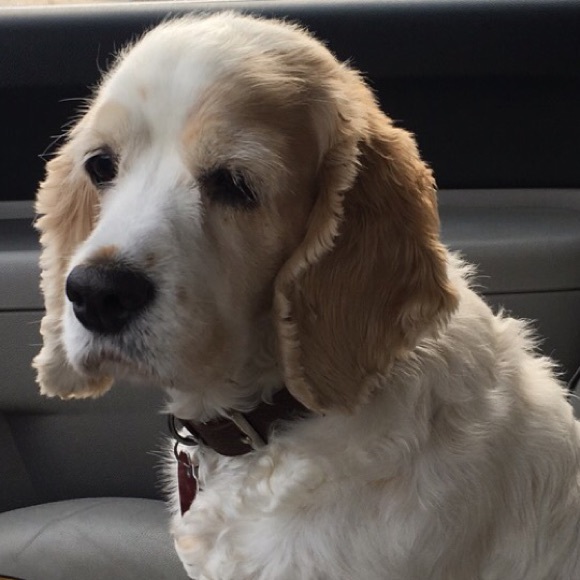 Profile Picture of Samantha Silvas (@samlozano1) on Poshmark