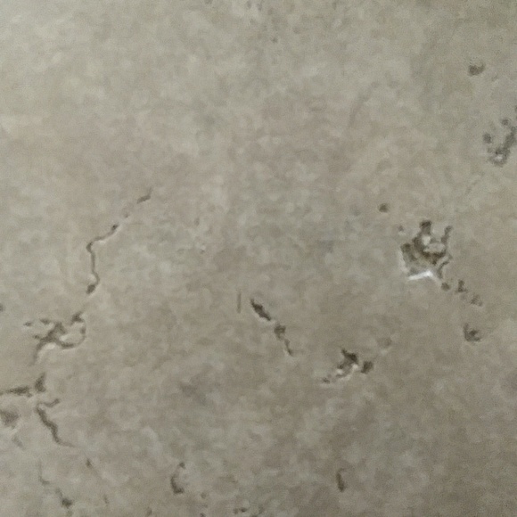 Profile Picture of Nedra Decoud (@nsdecoud) on Poshmark