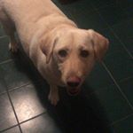 Profile Picture of Lucas Slowik (@lucas.slowik) on Instagram