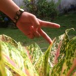 Profile Picture of Cassandra cristobal (@cassandracristobal4867) on Instagram