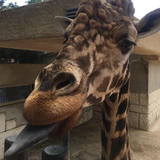 Alexandre Ravard - Facebook Profile Picture of Alexandre Ravard (@alexandre.ravard.1) on Facebook