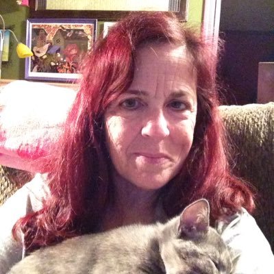 Profile Picture of Susan Singleton (@SusanSi28733949) on Twitter