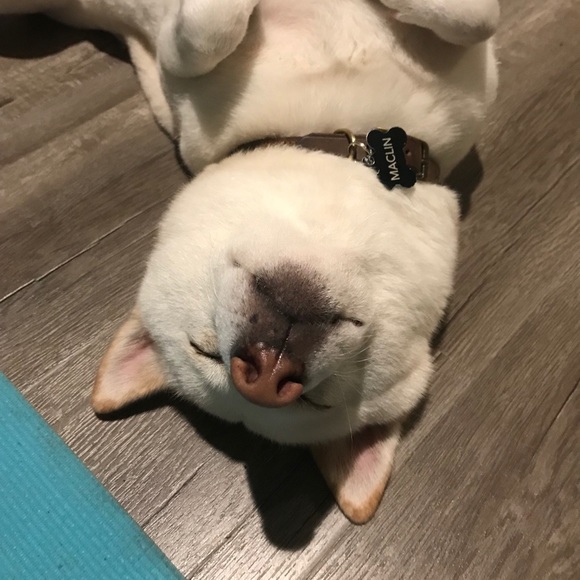 Profile Picture of Andrew Chiou (@maclin1992) on Poshmark