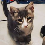 Gabriel Vincent Hickey - Instagram Profile Picture of Gabriel Vincent Hickey (@gabbu129) on Instagram