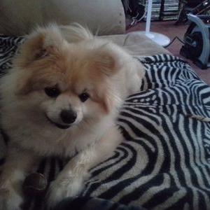 Profile Picture of Nancy Temple (@NancyNancyteple) on Twitter