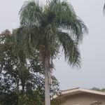 Profile Picture of leandro sperts (@leandrosperts) on Instagram