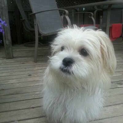 Profile Picture of Kyle Charlton (@ChuckitKyle) on Twitter