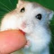Profile Picture of Ry Lee (@RyLee1793) on Youtube