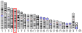 Profile Picture of Kelch-like protein 3on Wikipedia