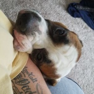 Profile Picture of Cathy Rosenthal (@rosenthal_cathy) on Twitter